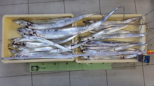 タチウオ