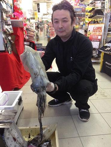アオリイカ