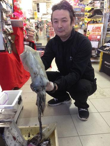 アオリイカ