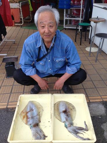 アオリイカ