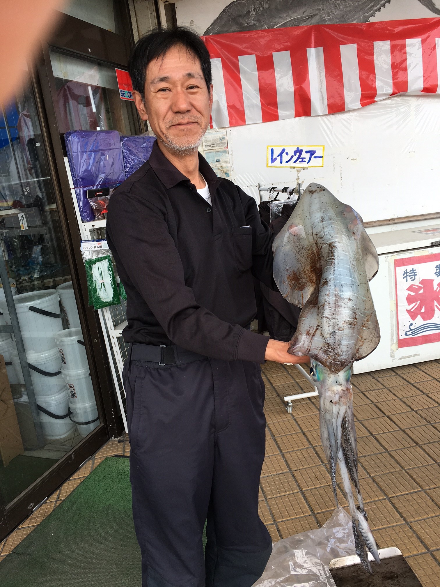 アオリイカ