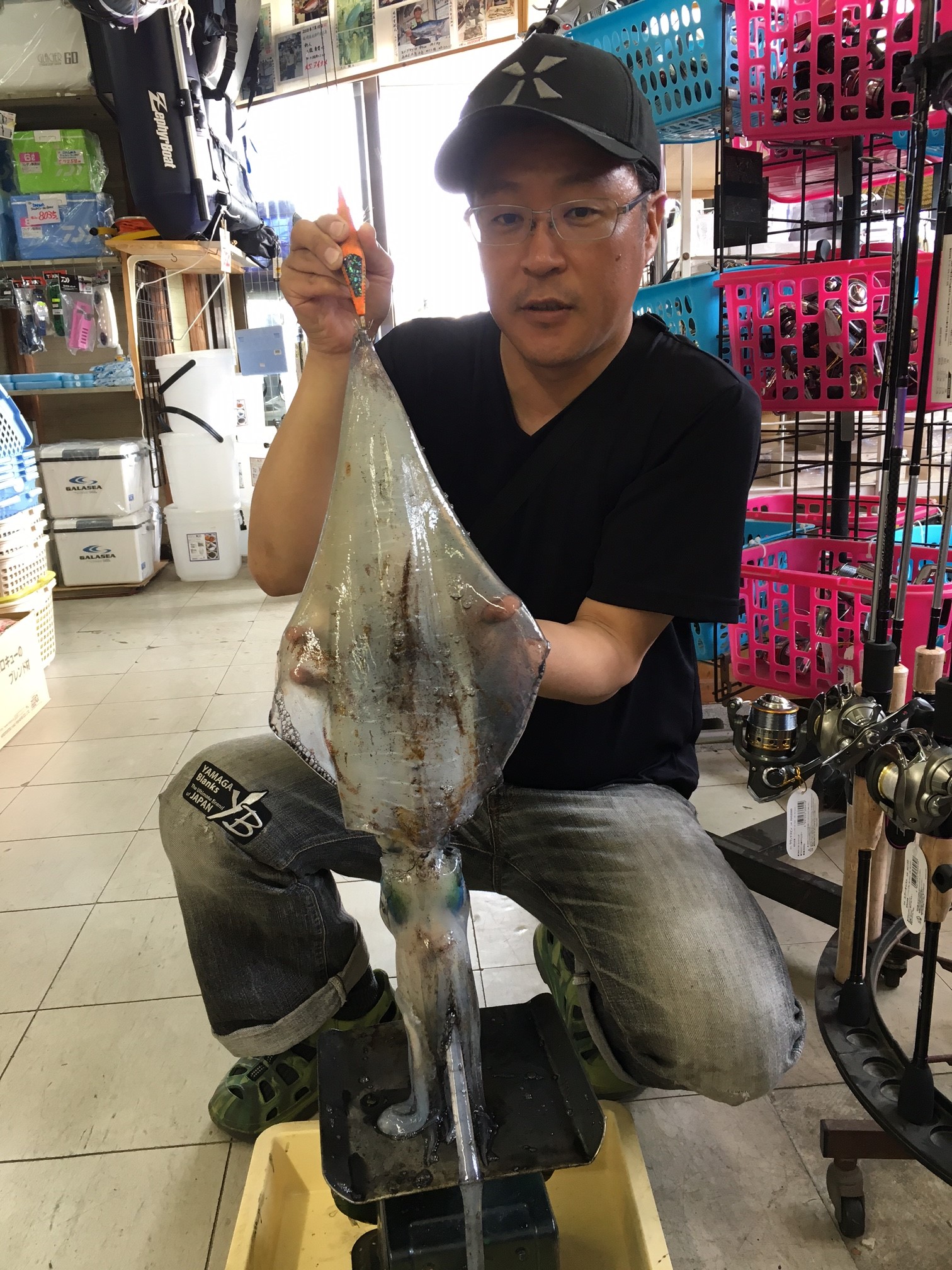 アオリイカ