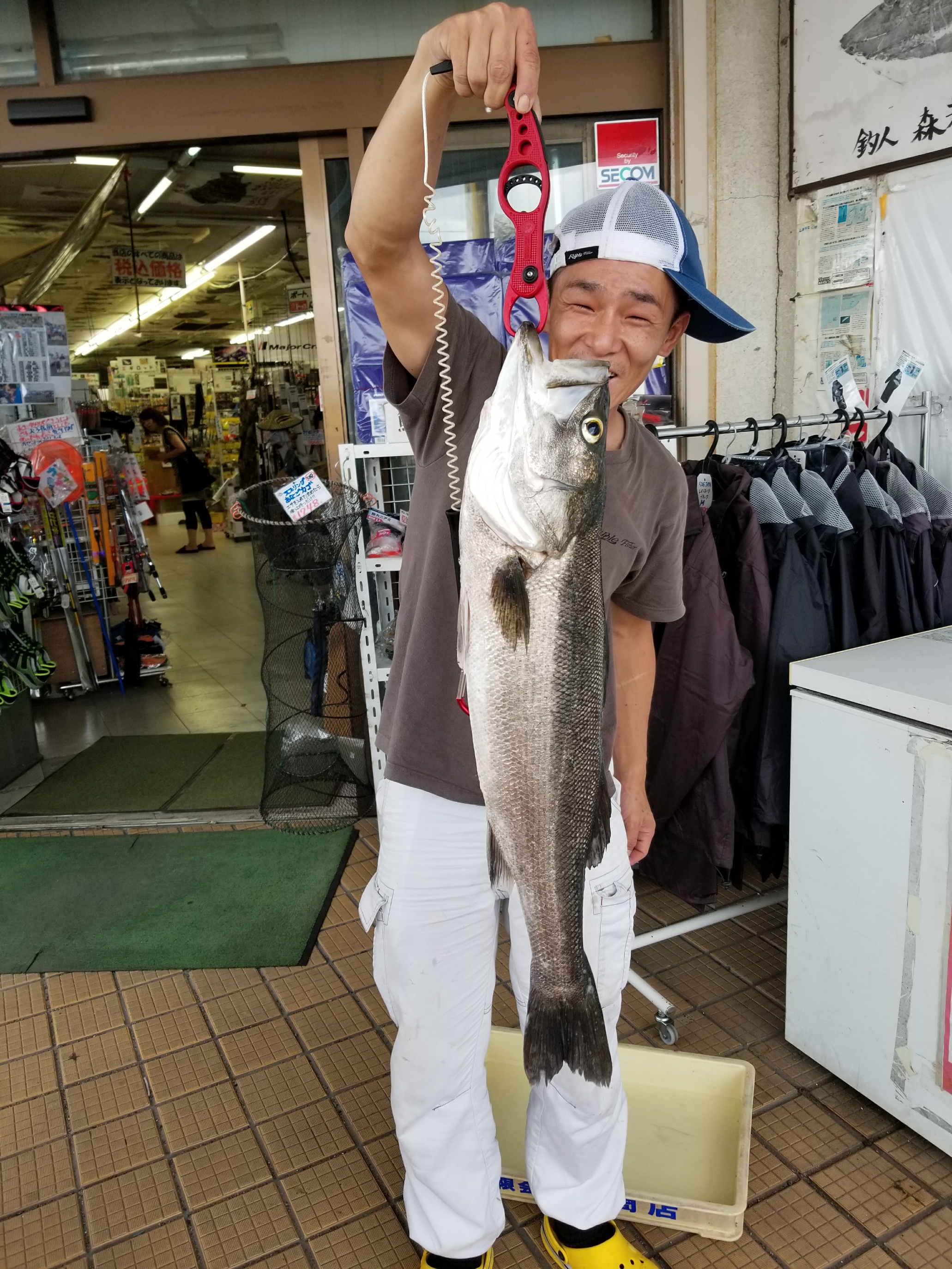 シーバス