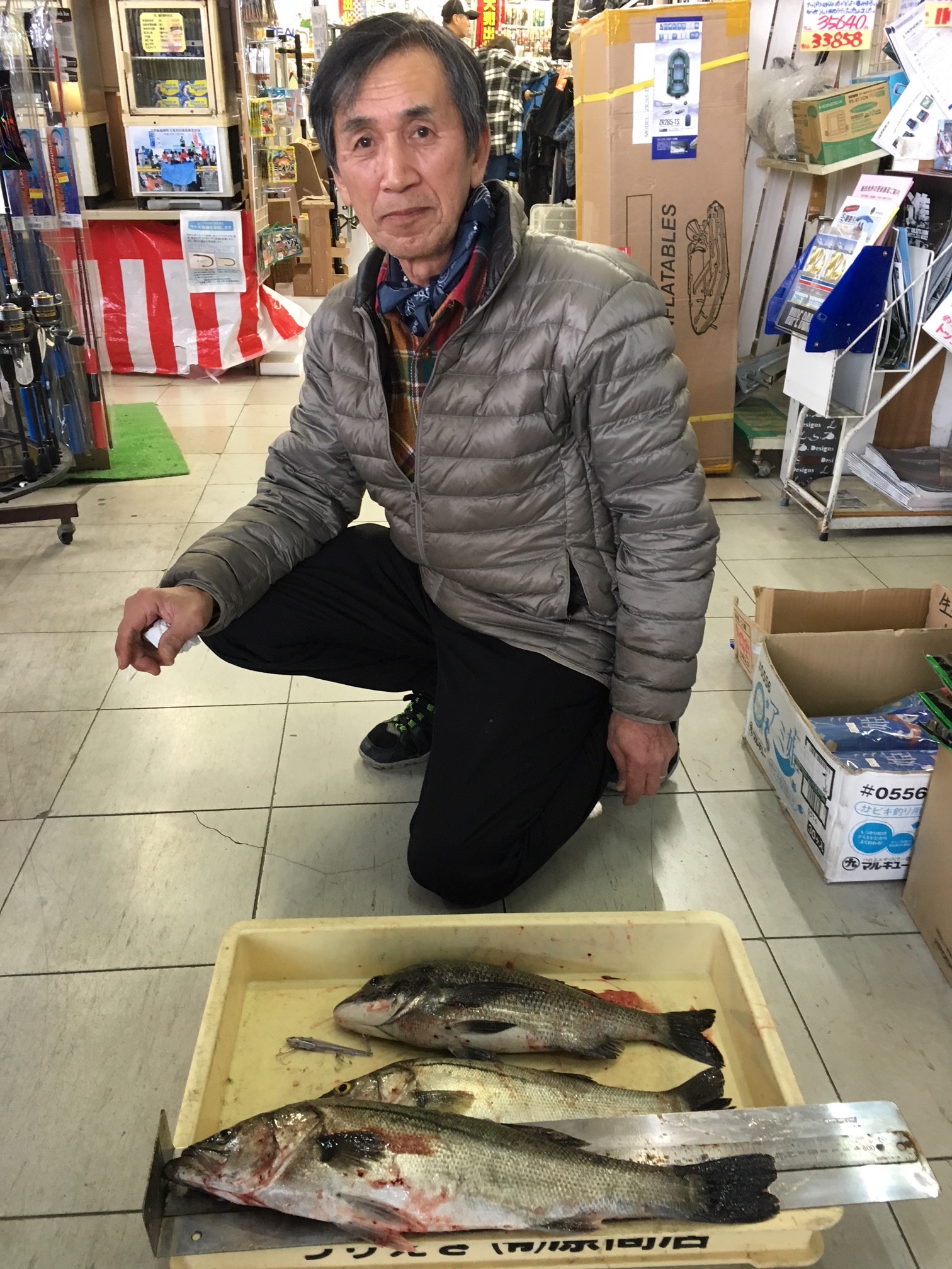 シーバス・チヌ
