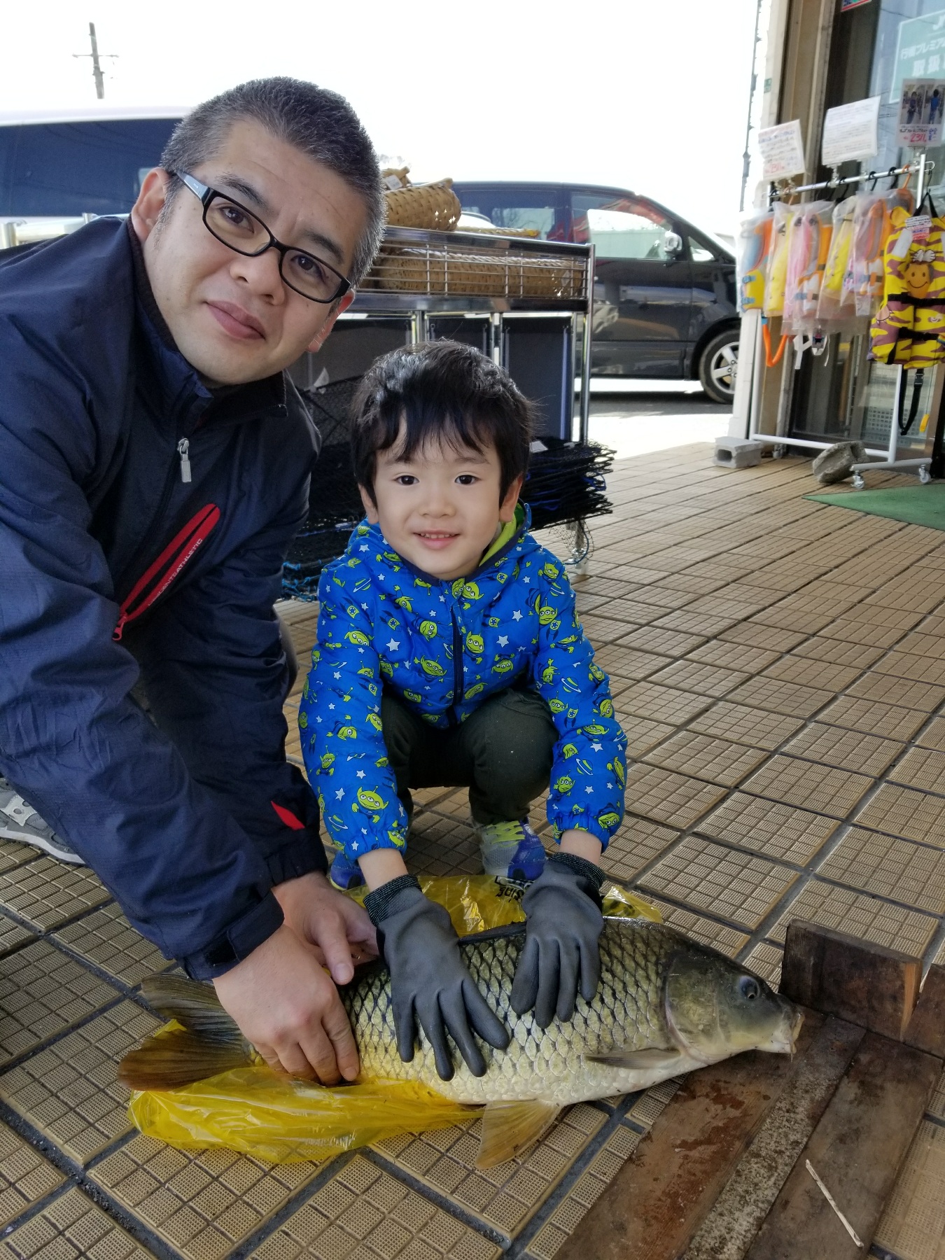 鯉