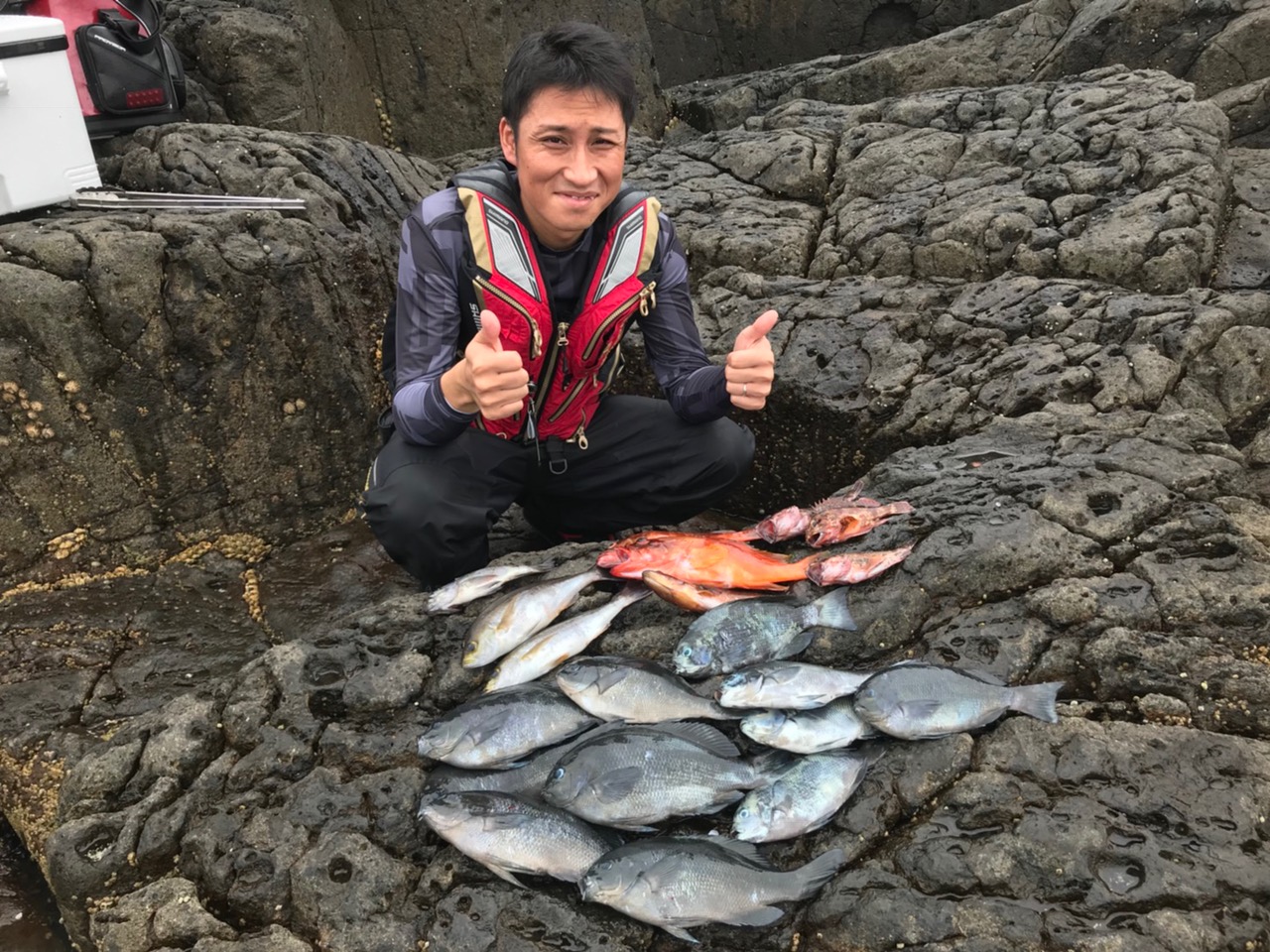尾長　口太　イサキ　アカハタ　キジハタ　他