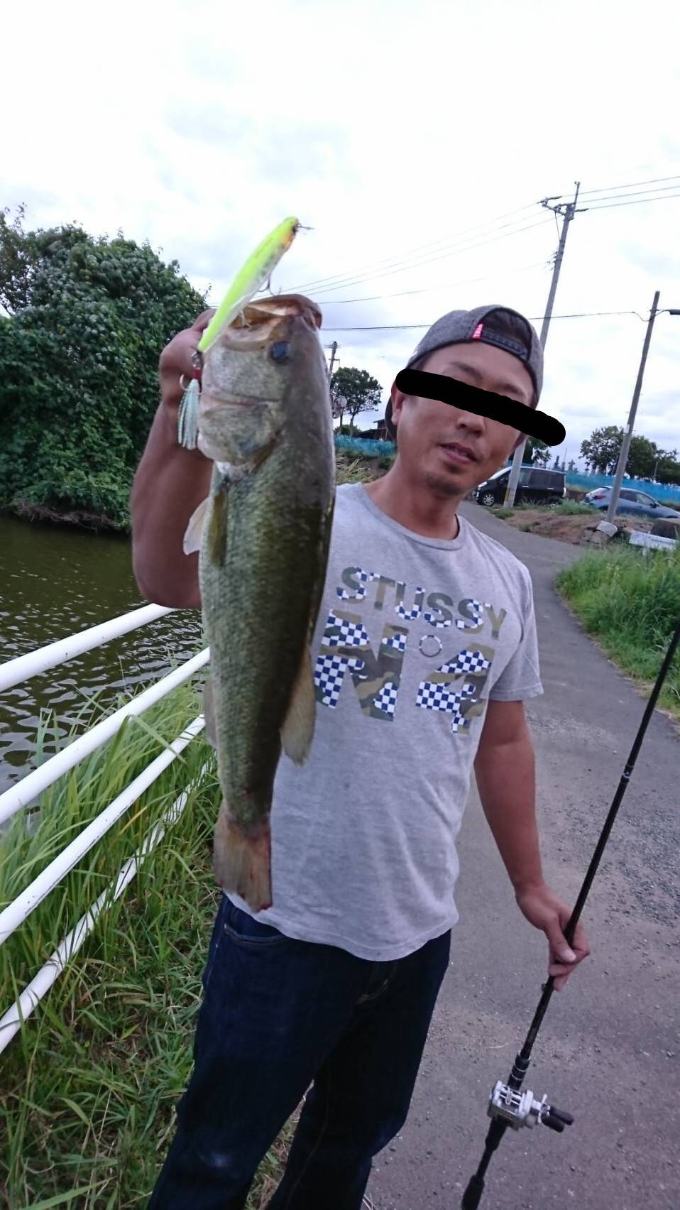 ブラックバス