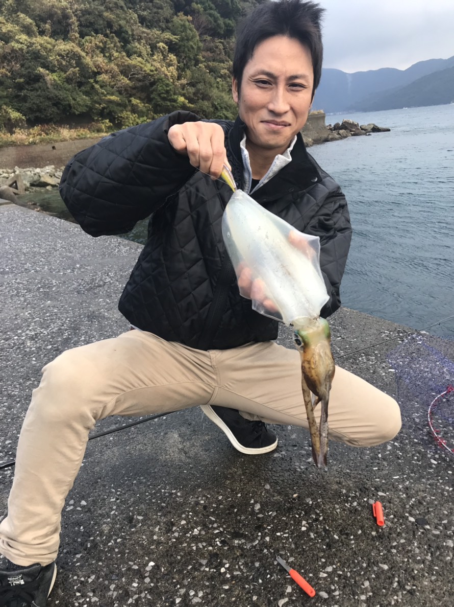 アオリイカ