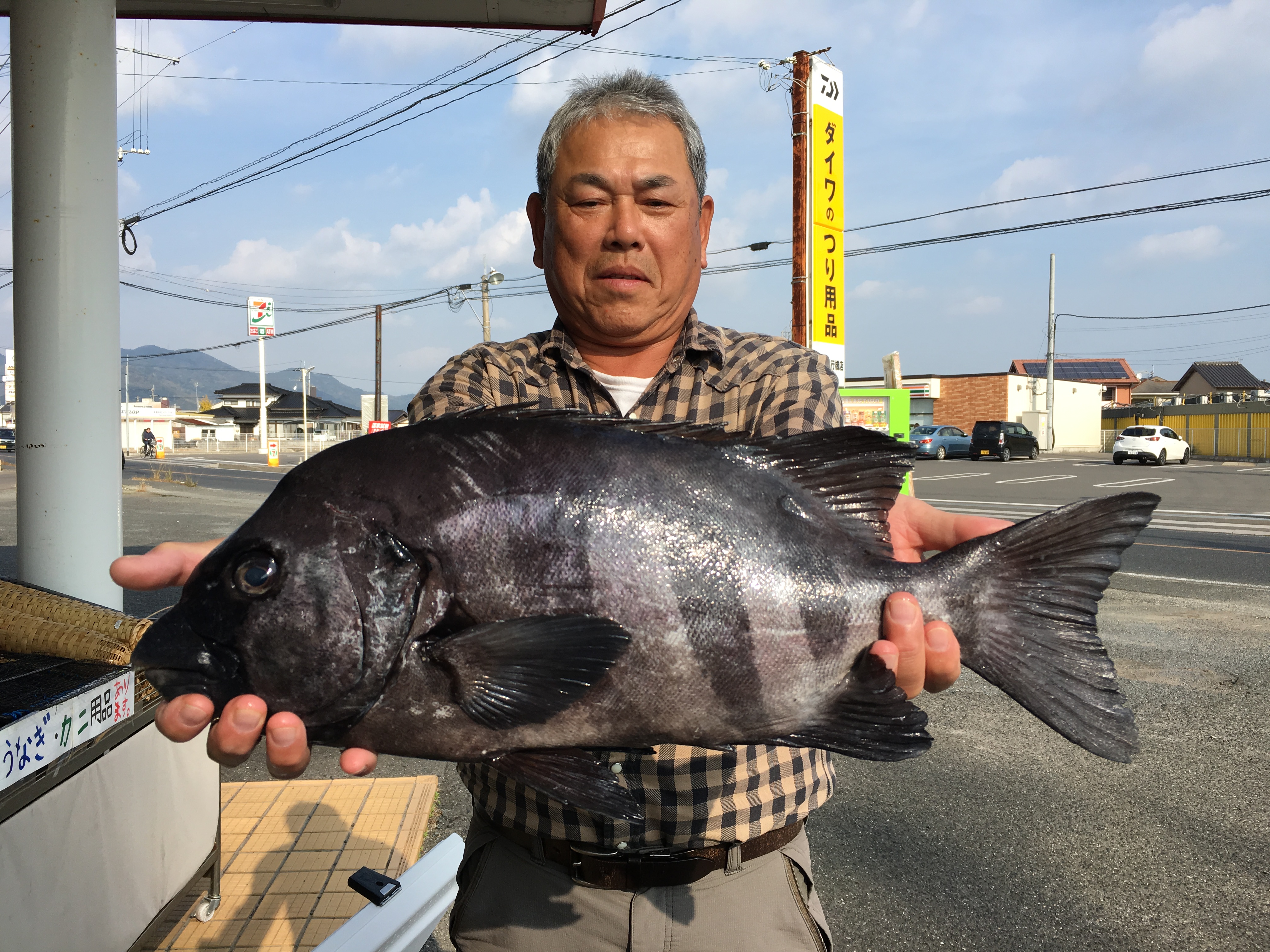 石鯛