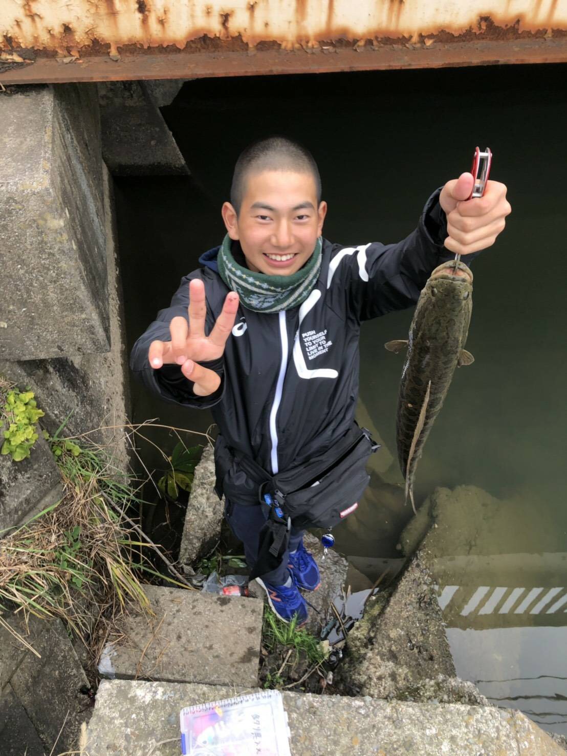 ﾗｲｷﾞｮ