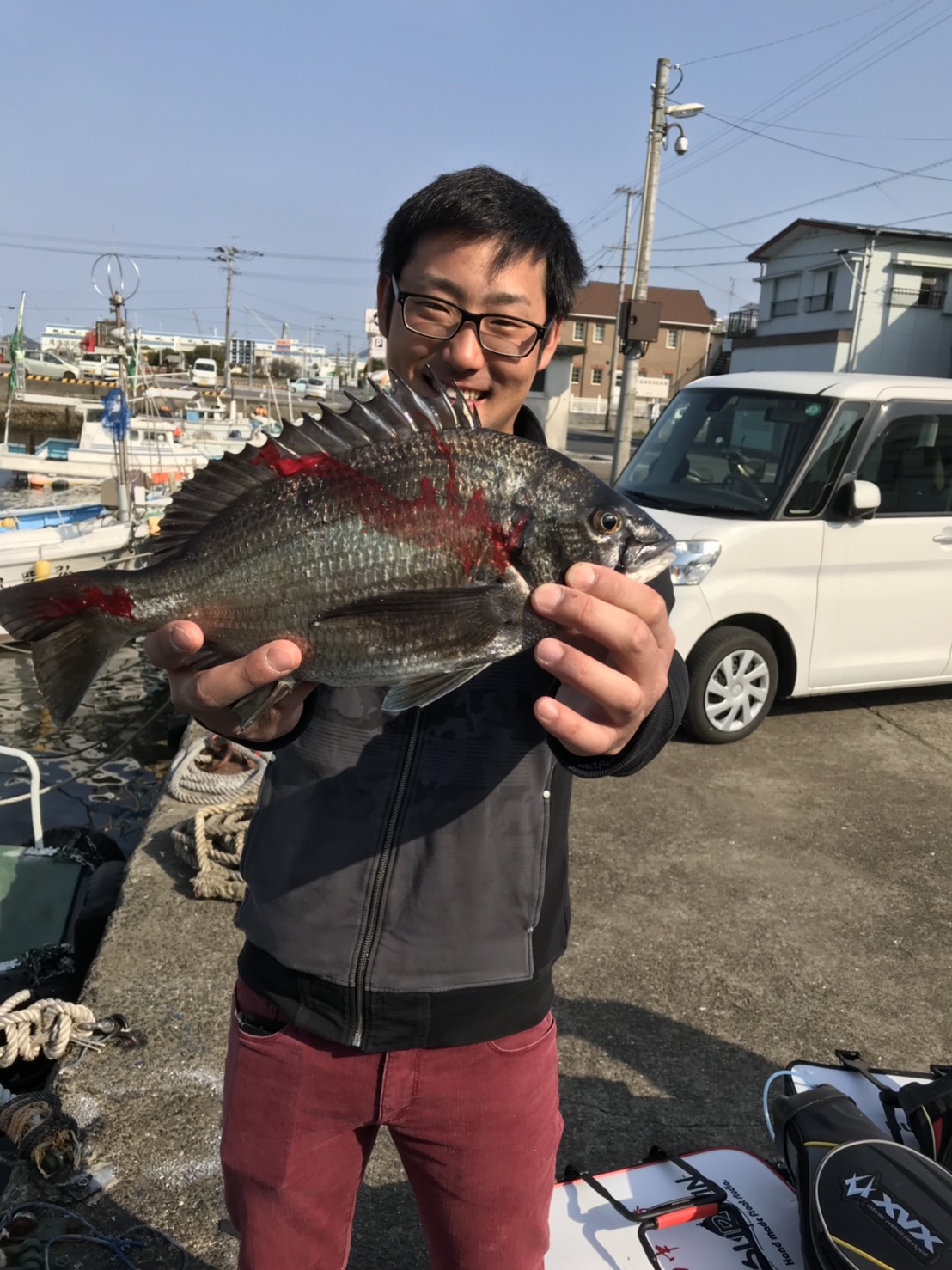 アジ、チヌ