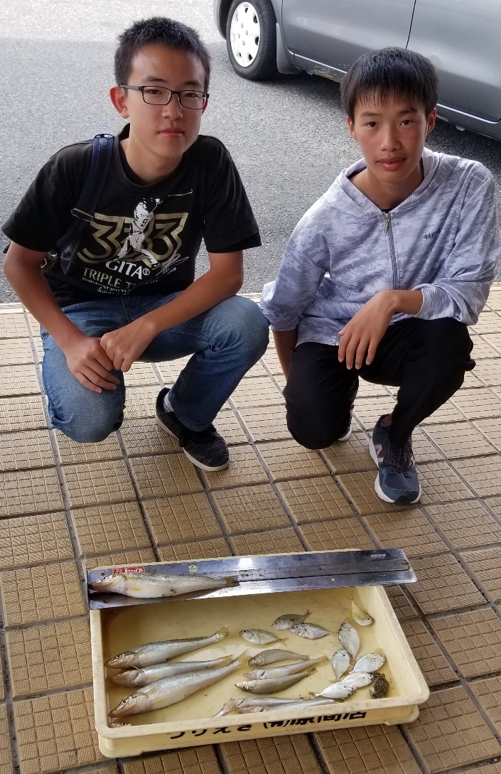 アオギス