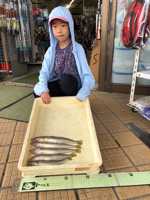 アオギス