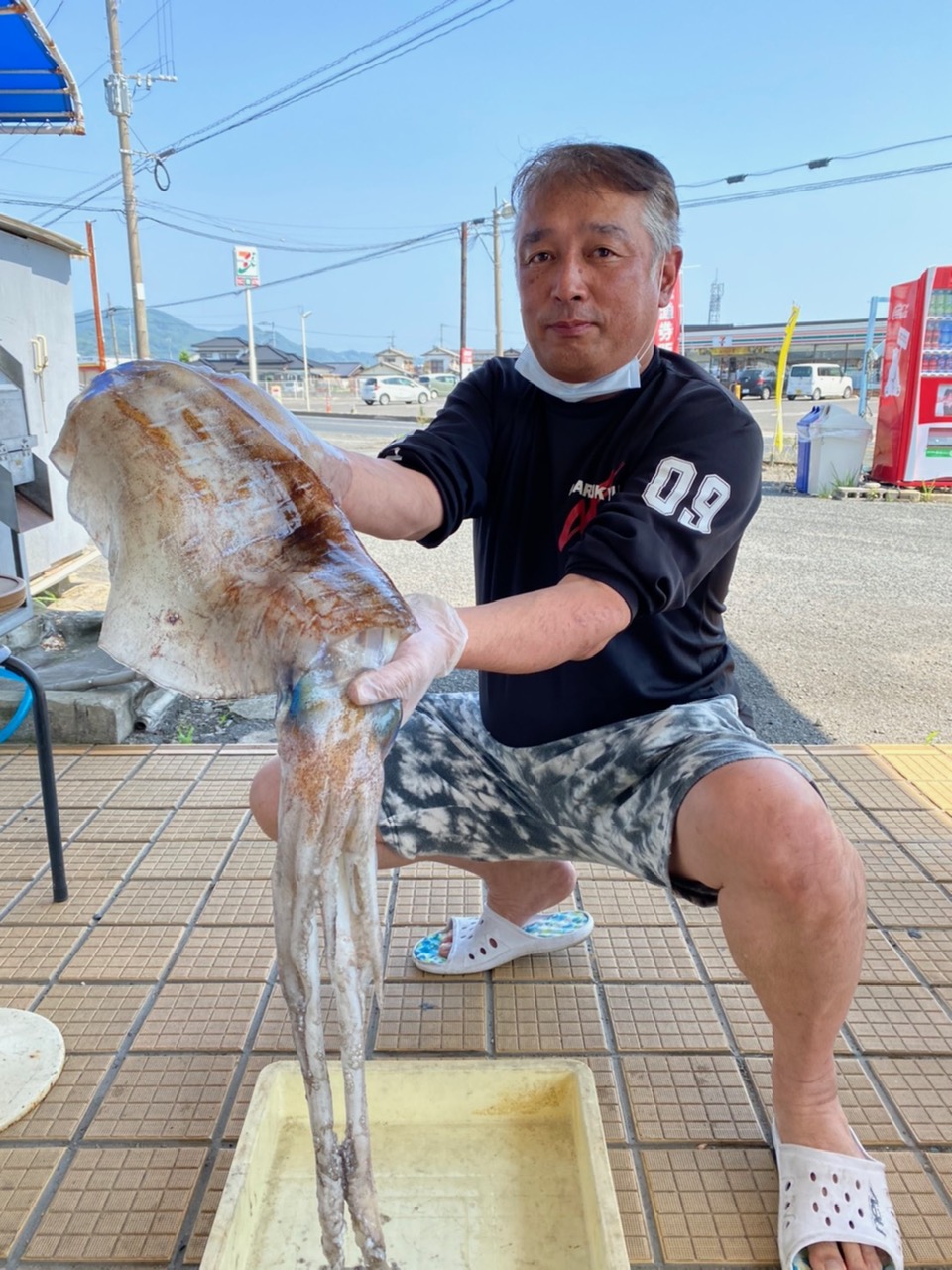 アオリイカ