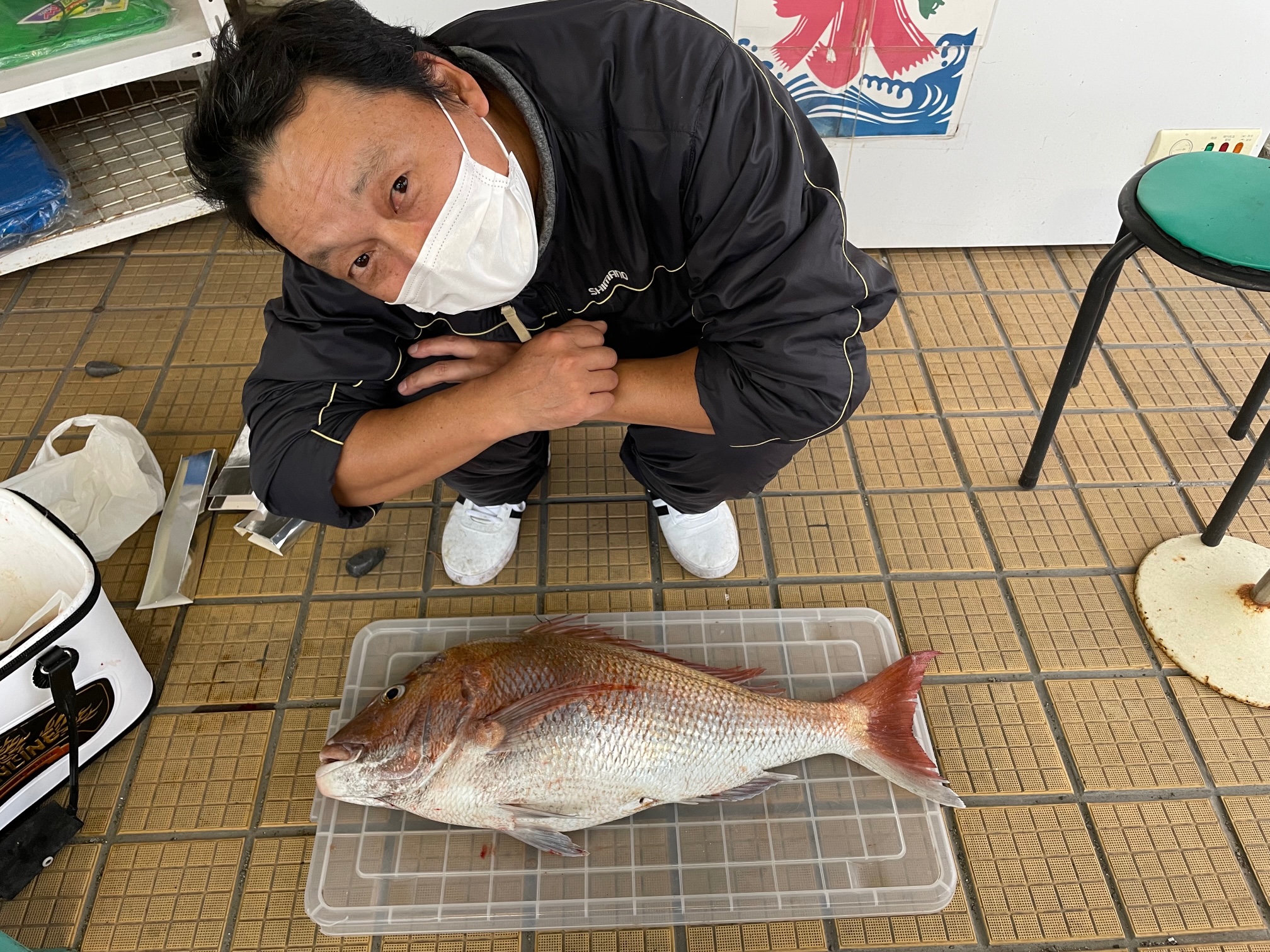 真鯛