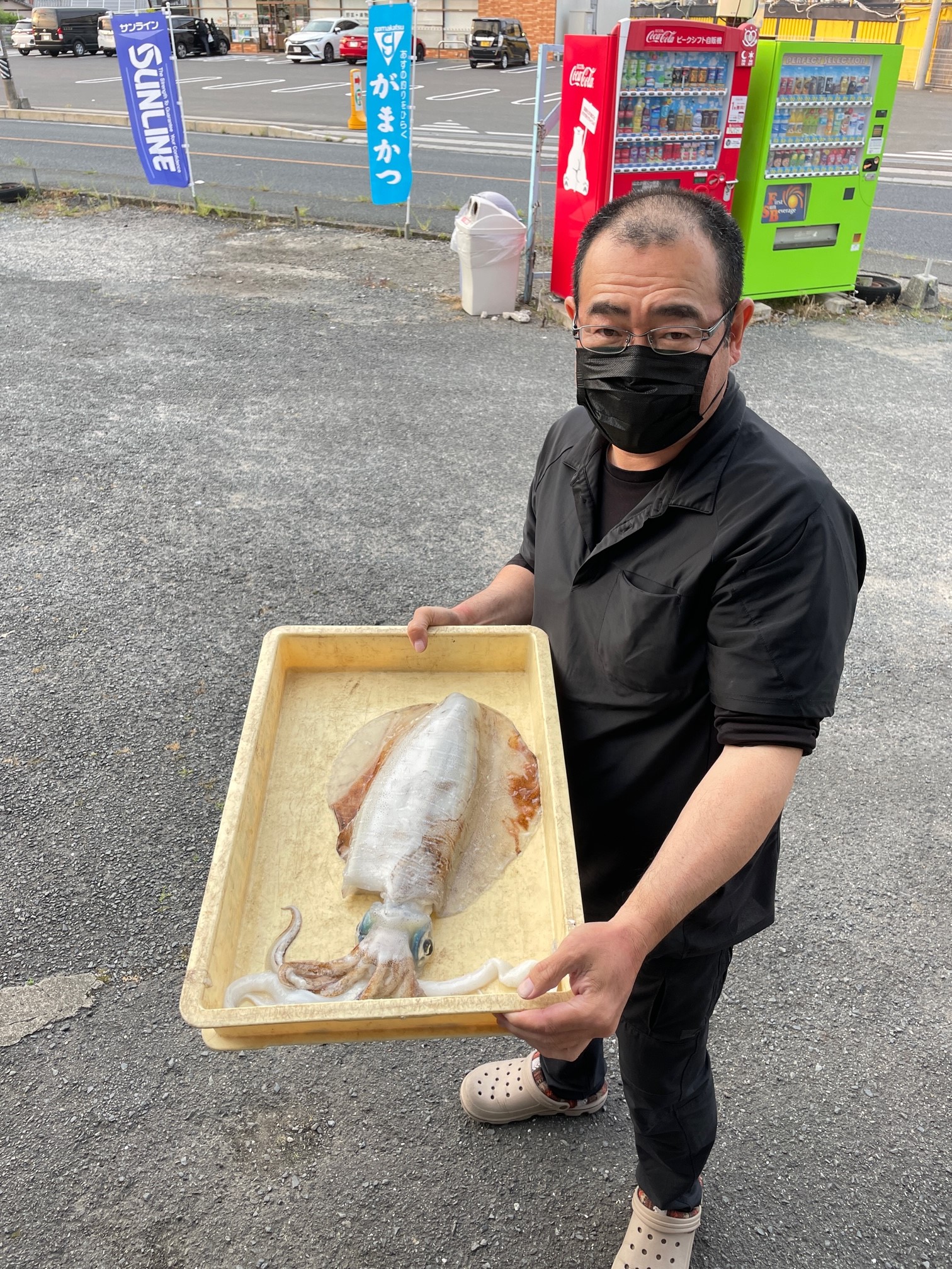 アオリイカ