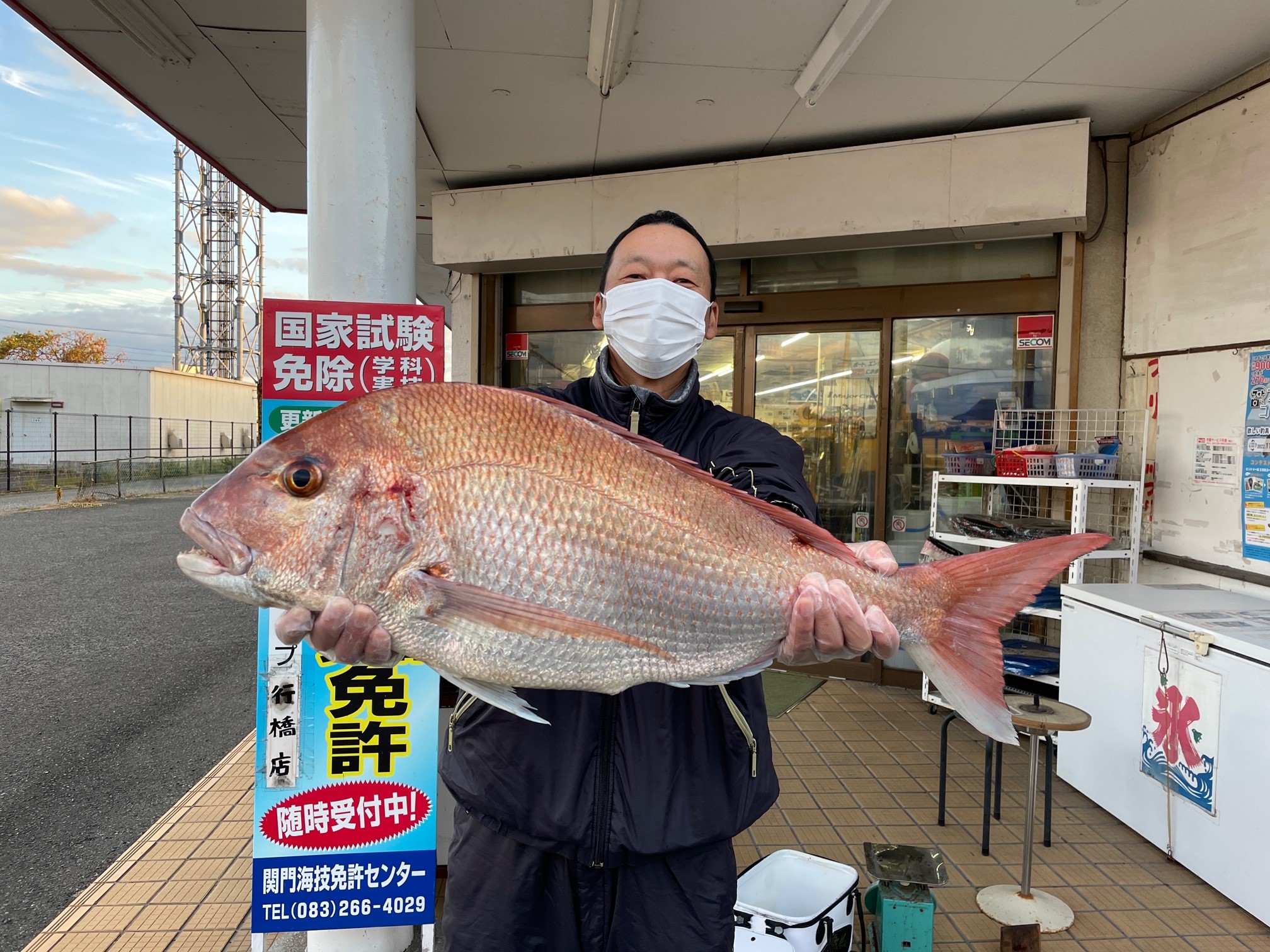 真鯛