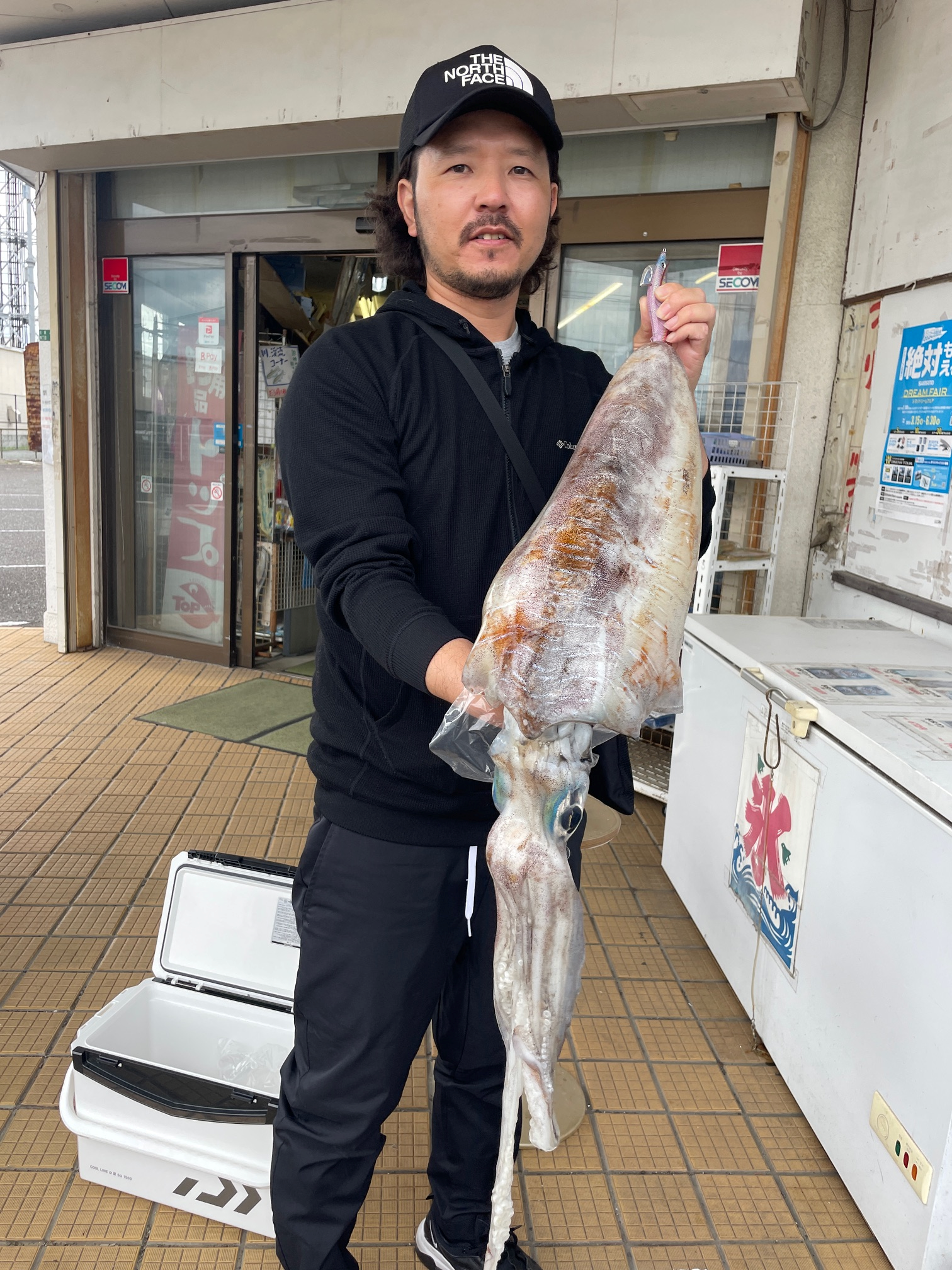 アオリイカ