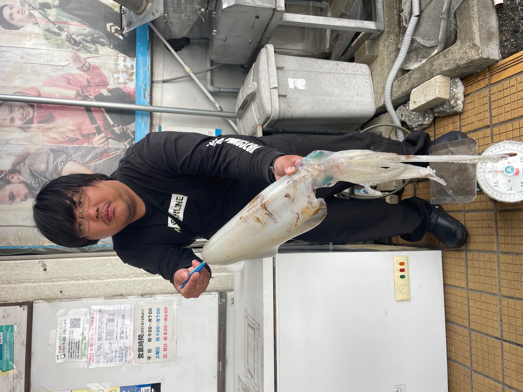 アオリイカ